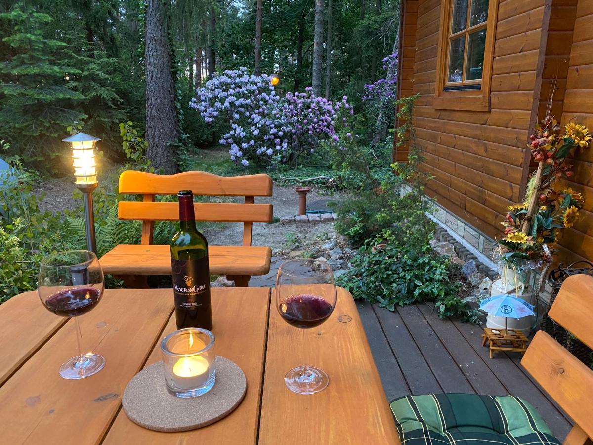 Waldhaus Eichhoernchen Bad Schmiedeberg Luaran gambar