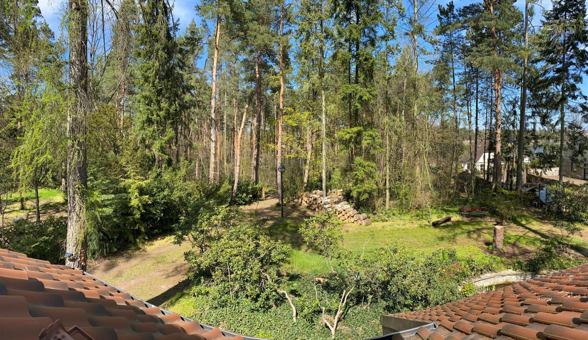 Waldhaus Eichhoernchen Bad Schmiedeberg Luaran gambar
