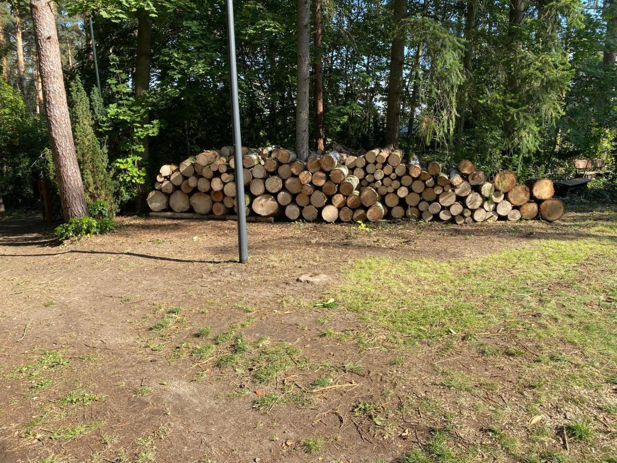 Waldhaus Eichhoernchen Bad Schmiedeberg Luaran gambar