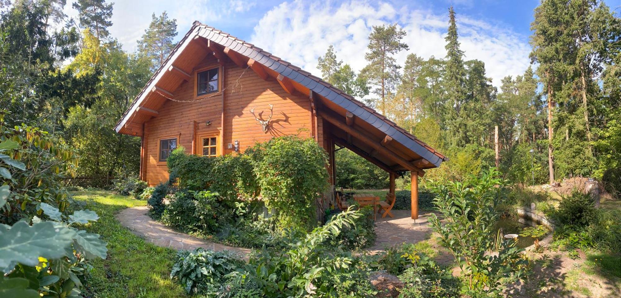 Waldhaus Eichhoernchen Bad Schmiedeberg Luaran gambar