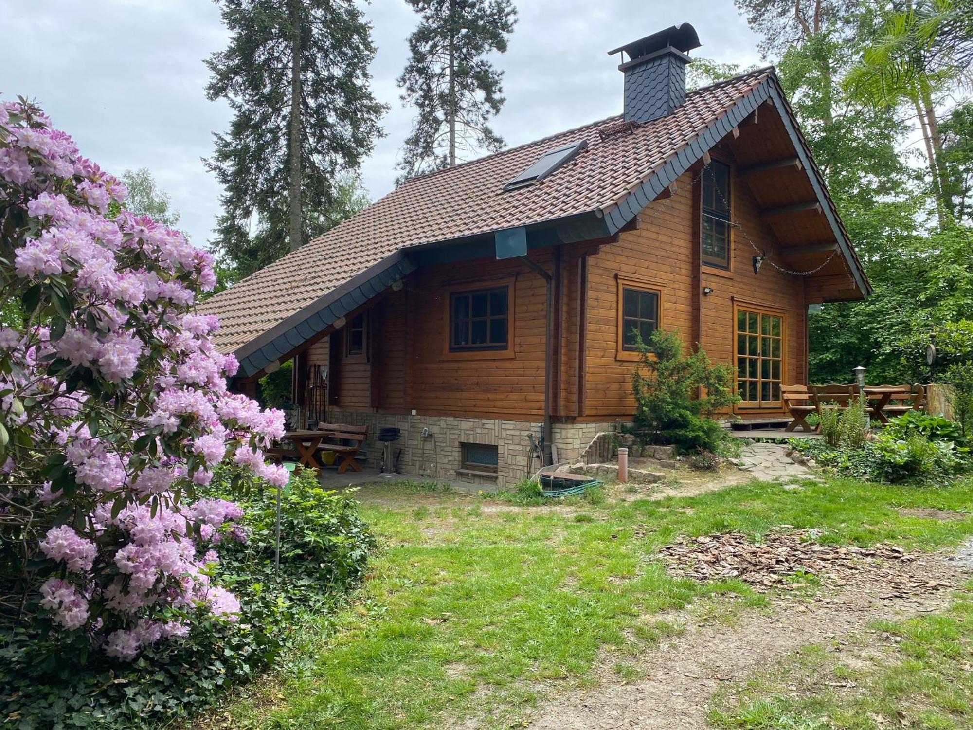 Waldhaus Eichhoernchen Bad Schmiedeberg Luaran gambar